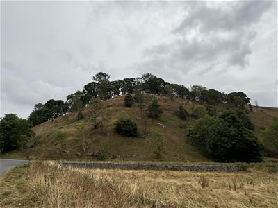 Picture 2